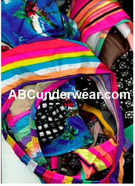 Assorted Selection of Premium Men's Thong Swimsuits