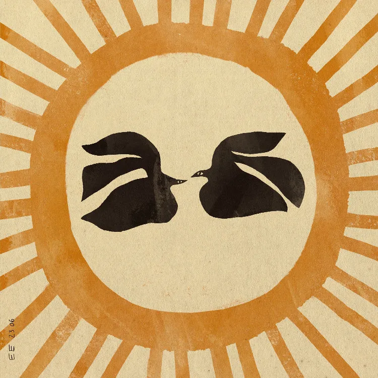 Enikő Eged - Birds under the Soltice Sun