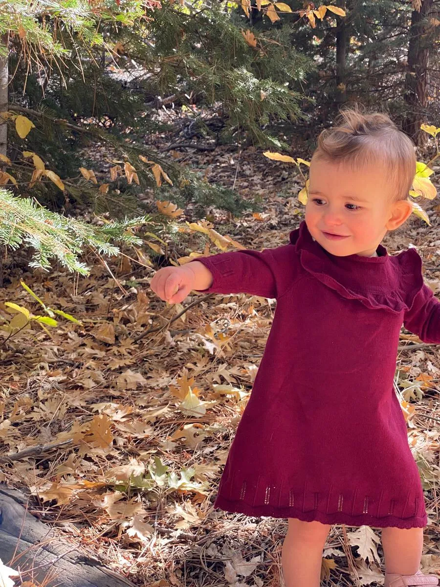 ettie   h Tressa Dress - Burgundy Knit