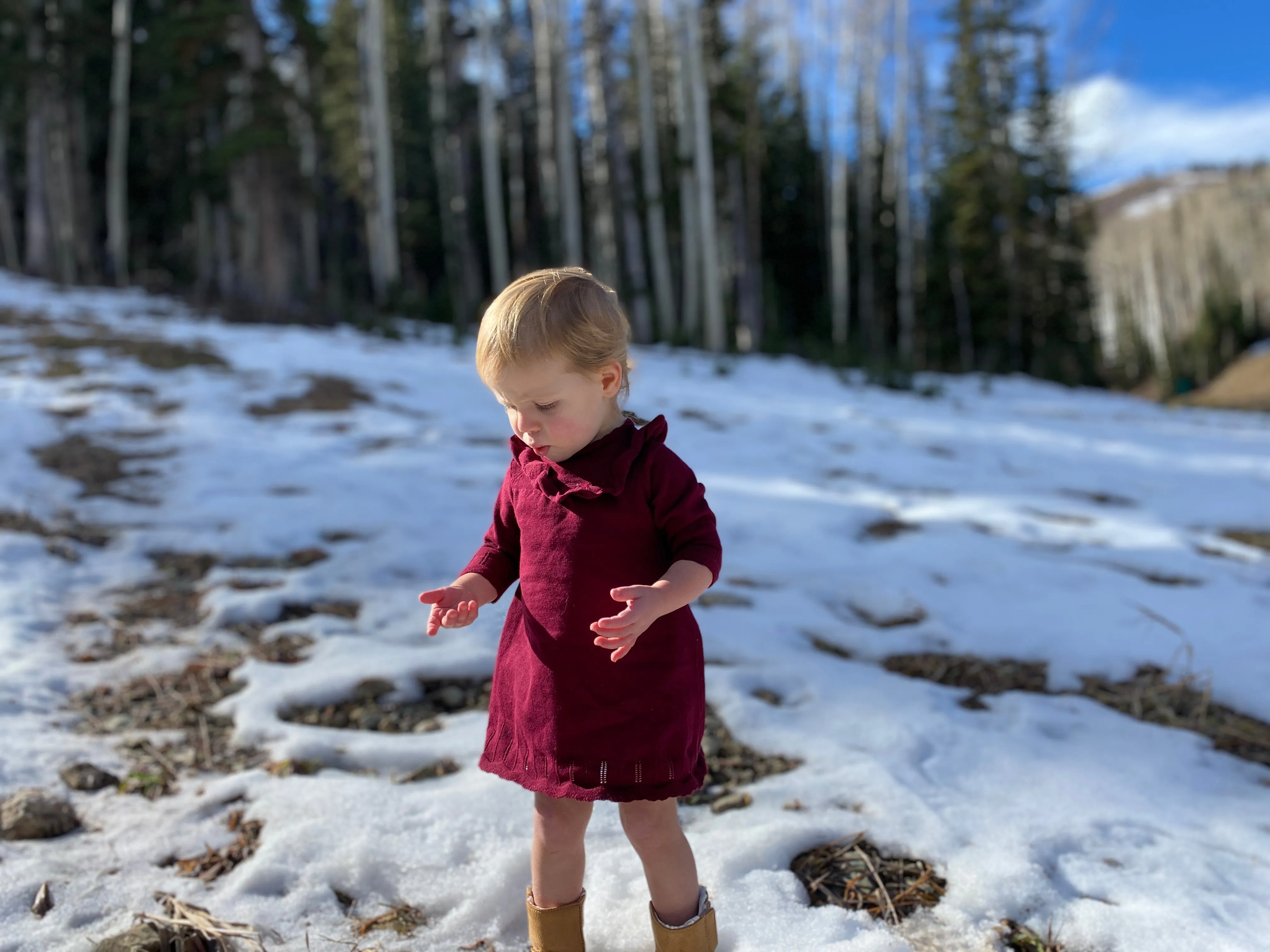 ettie   h Tressa Dress - Burgundy Knit