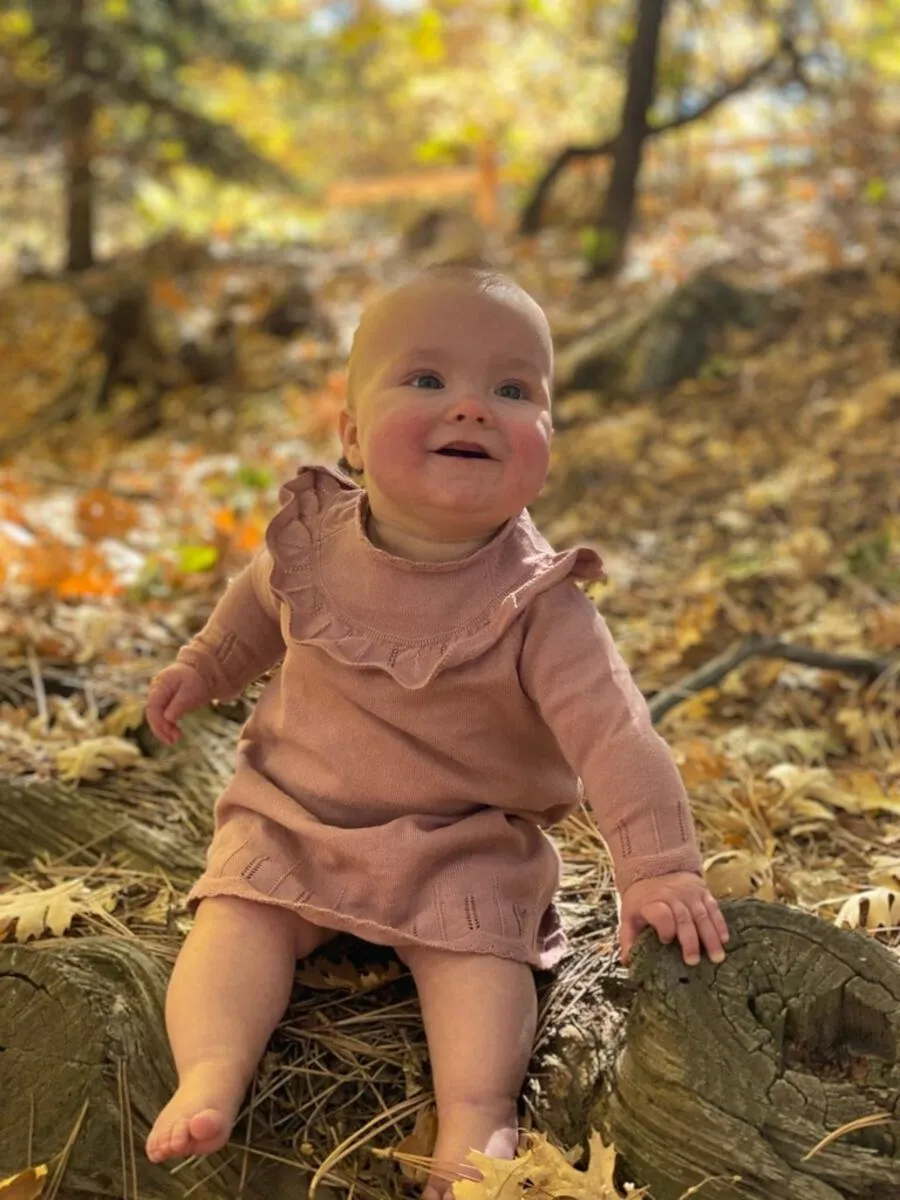 ettie   h Tressa Dress - Rose Knit