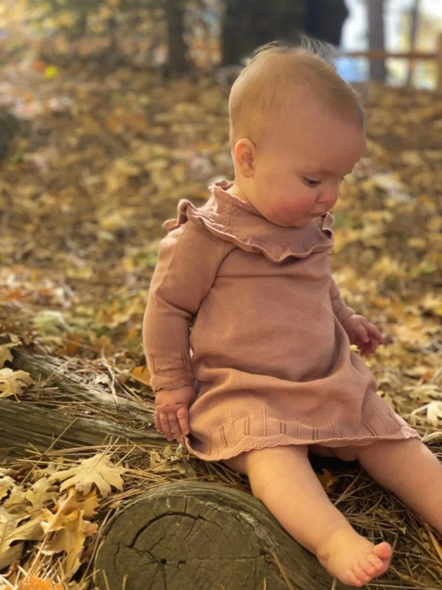 ettie   h Tressa Dress - Rose Knit